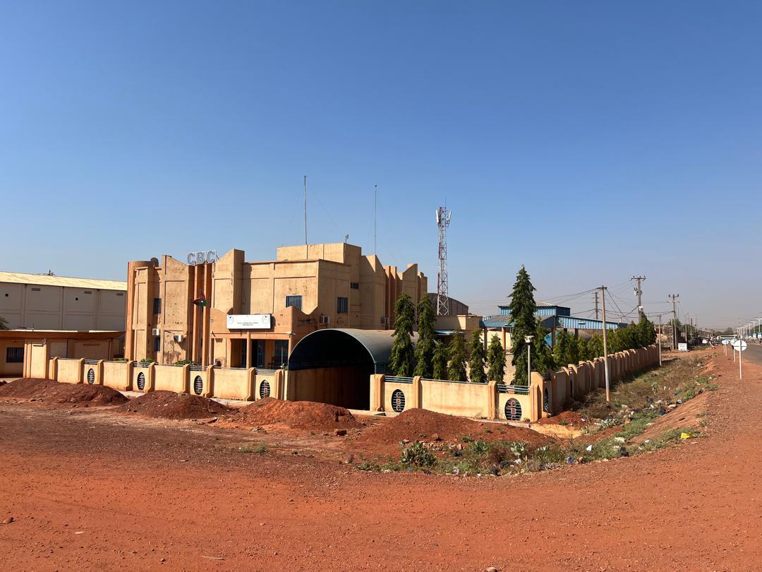 Bobo - image 6